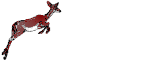 Gif animé gazelle bondit